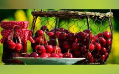 Рецепт варенья из вишни без косточек Черный лес