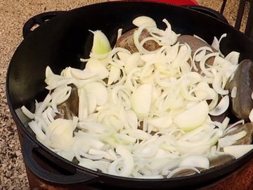 Мясо на костре 2